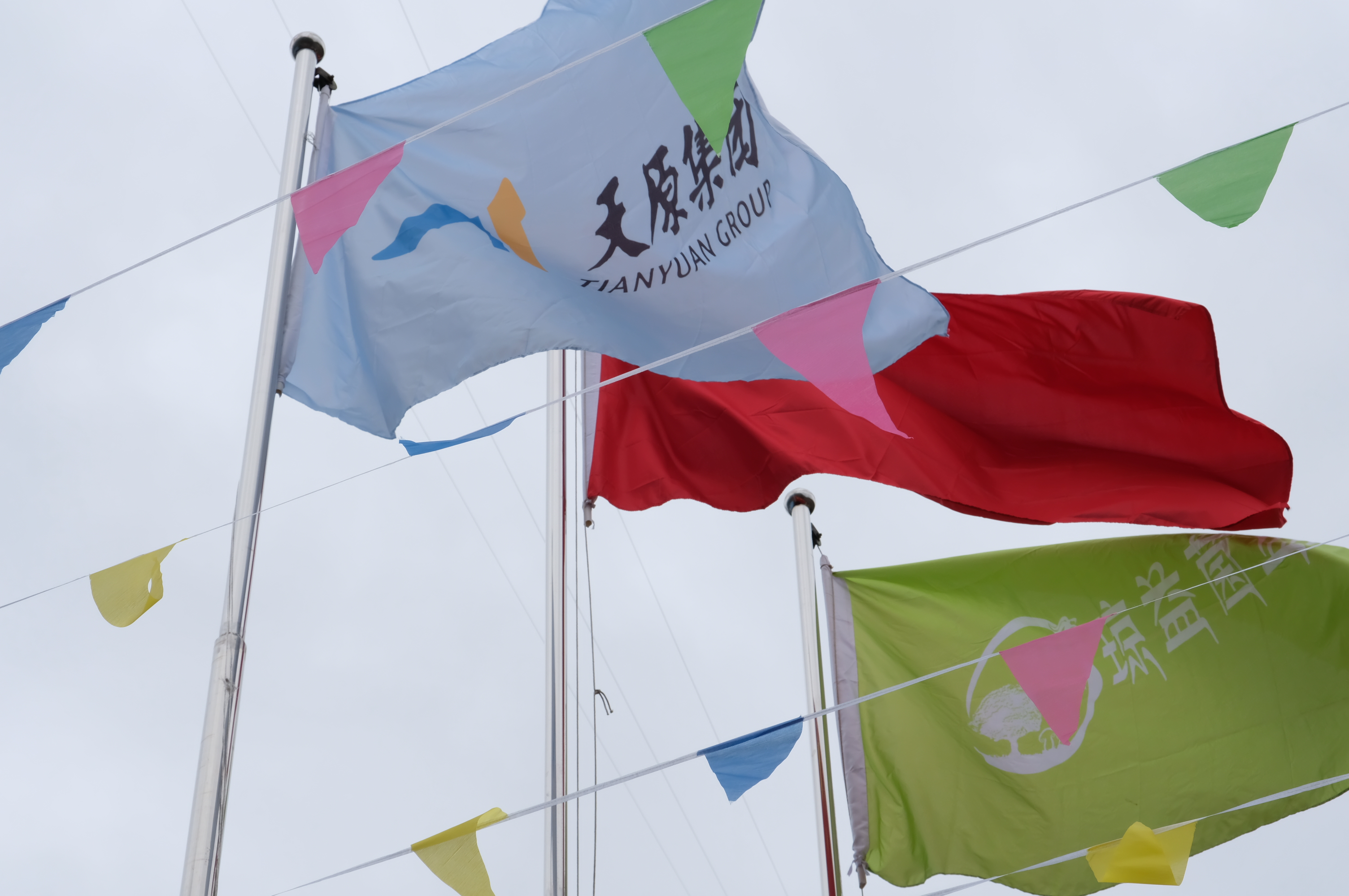 今年会·(中国大陆)认证慈善机构