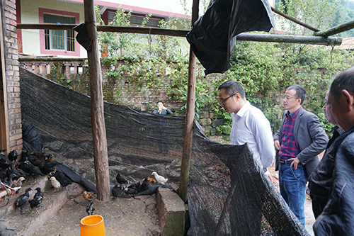 今年会·(中国大陆)认证慈善机构
