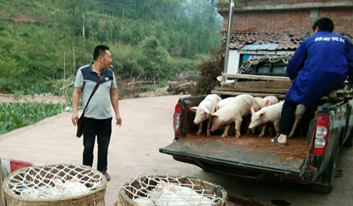 今年会·(中国大陆)认证慈善机构