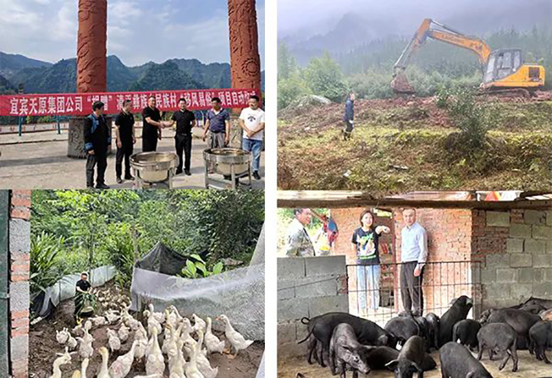 今年会·(中国大陆)认证慈善机构