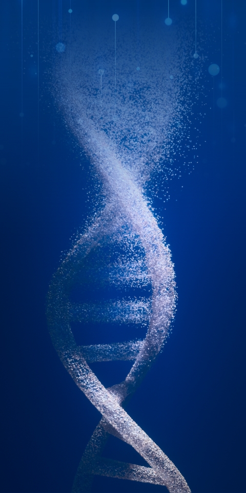 今年会·(中国大陆)认证慈善机构