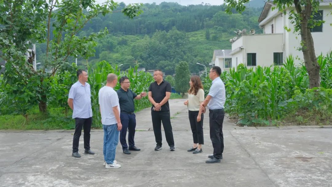 ����ᡤ(�й���½)��֤���ƻ���