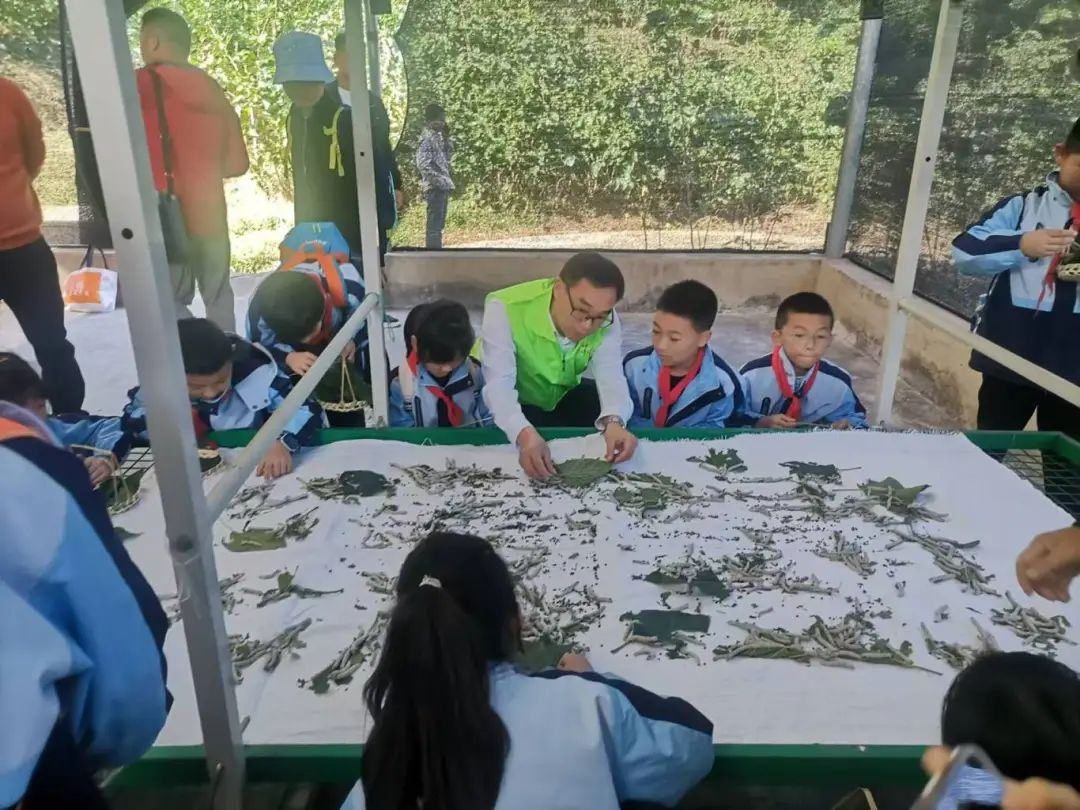 ����ᡤ(�й���½)��֤���ƻ���